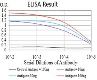 ELISA: DHX58 Antibody (6A6A3) [NBP2-61751] - Black line: Control Antigen (100 ng);Purple line: Antigen (10ng); Blue line: Antigen (50 ng); Red line:Antigen (100 ng)