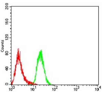 Flow Cytometry: DHX58 Antibody (6A6A3) [NBP2-61751] - Analysis of Hela cells using DHX58 mouse mAb (green) and negative control (red).