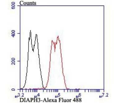 Flow Cytometry: DIAPH3 Antibody [NBP2-80419] - Analysis of LOVO cells with DIAPH3 antibody at 1/100 dilution (red) compared with an unlabeled control (cells without incubation with primary antibody; black). Alexa Fluor 488-conjugated goat anti-rabbit IgG was used as the secondary antibody.
