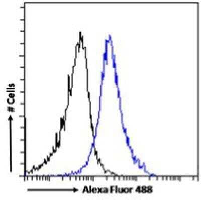 Flow Cytometry: DISP1 Antibody [NB100-1408] - Flow cytometric analysis of paraformaldehyde fixed HEK293 cells (blue line), permeabilized with 0.5% Triton. Primary incubation 1hr (10ug/ml) followed by Alexa Fluor 488 secondary antibody (1ug/ml). IgG control: Unimmunized goat IgG (black line) followed by Alexa Fluor 488 secondary antibody.