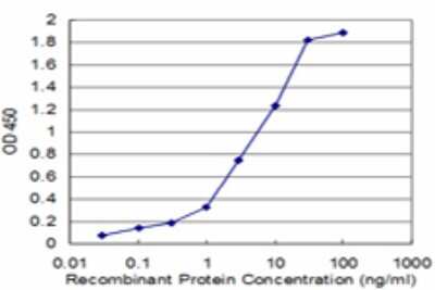 Sandwich ELISA: DLEU1 Antibody (2C2) [H00010301-M02] - Detection limit for recombinant GST tagged DLEU1 is approximately 0.1ng/ml as a capture antibody.