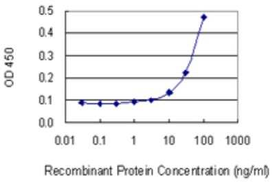 Sandwich ELISA: DLG5 Antibody (2A5) [H00009231-M01] - Detection limit for recombinant GST tagged DLG5 is 3 ng/ml as a capture antibody.