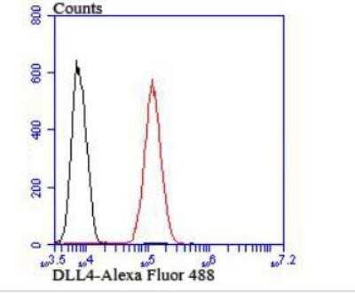 Flow Cytometry: DLL4 Antibody [NBP2-89151] - Analysis of 293T cells with DLL4 antibody at 1/100 dilution (red) compared with an unlabelled control (cells without incubation with primary antibody; black). Alexa Fluor 488-conjugated goat anti-rabbit IgG was used as the secondary antibody.