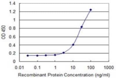 Sandwich ELISA: DMP-1 Antibody (1D4) [H00001758-M01] - Detection limit for recombinant GST tagged DMP1 is 1 ng/ml as a capture antibody.