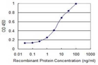 Sandwich ELISA DMRTB1 Antibody (5E7) - Azide and BSA Free