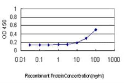 ELISA: DNAJA2 Antibody (2A11-F2) [H00010294-M01] - Detection limit for recombinant GST tagged DNAJA2 is approximately 3ng/ml as a capture antibody.