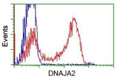 Flow Cytometry: DNAJA2 Antibody (OTI3A10) - Azide and BSA Free [NBP2-71565] - HEK293T cells transfected with either overexpression plasmid (Red) or empty vector control plasmid (Blue) were immunostaining by anti-DNAJA2 antibody, and then analyzed by flow cytometry.