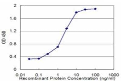 Sandwich ELISA: DNAJB2 Antibody (1B7) [H00003300-M02] - Detection limit for recombinant GST tagged DNAJB2 is approximately 0.3ng/ml as a capture antibody.