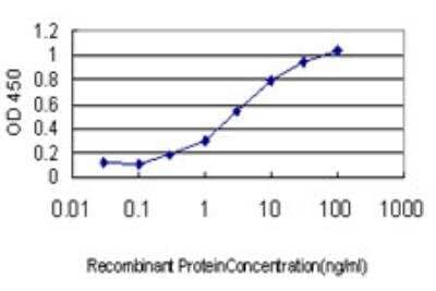 ELISA DNAJB2 Antibody (2C9) - Azide and BSA Free