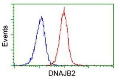 Flow Cytometry DNAJB2 Antibody (OTI4D12)