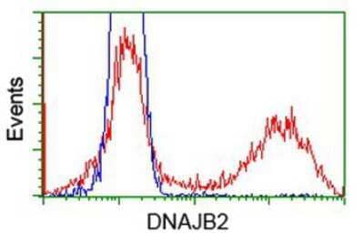 Flow Cytometry DNAJB2 Antibody (OTI4D12)