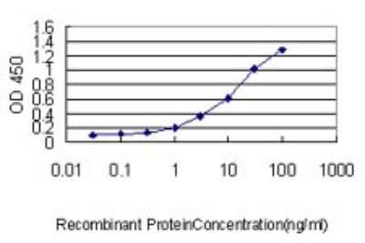 Sandwich ELISA: DNAJB4 Antibody (1H2-3G4) [H00011080-M01] - Detection limit for recombinant GST tagged DNAJB4 is approximately 0.3ng/ml as a capture antibody.