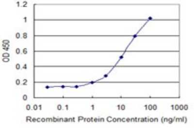 Sandwich ELISA: DNAJB4 Antibody (S13) [H00011080-M02] - Detection limit for recombinant GST tagged DNAJB4 is 0.3 ng/ml as a capture antibody.