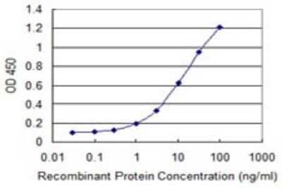 Sandwich ELISA: DNAJB6 Antibody (2D12-B9) [H00010049-M02] - Detection limit for recombinant GST tagged DNAJB6 is 0.1 ng/ml as a capture antibody.