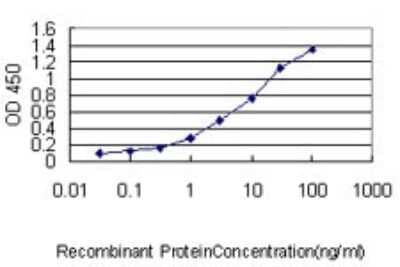 Sandwich ELISA DNAJC7 Antibody (4G6-G3) - Azide and BSA Free