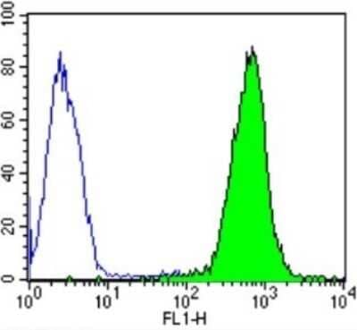 Flow Cytometry: DNCIC1 Antibody (74.1) [NB300-726] - Analysis of Dynein in Hela cells compared to an isotype control (blue).