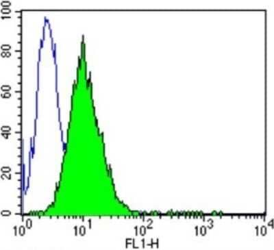Flow Cytometry: DNCIC1 Antibody (74.1) [NB300-726] - Analysis of Dynein in C6 cells compared to an isotype control (blue).