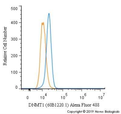 Flow Cytometry: DNMT1 Antibody (60B1220.1) [Alexa Fluor® 488] [NB100-56519AF488] - An intracellular stain was performed on HeLa cells with DNMT1 [60B1220.1] Antibody NB100-56519AF488 (blue) and a matched isotype control (orange). Cells were fixed with 4% PFA and then permeabilized with 0.1% saponin. Cells were incubated in an antibody dilution of 5 ug/mL for 30 minutes at room temperature. Both antibodies were conjugated to Alexa Fluor 488.