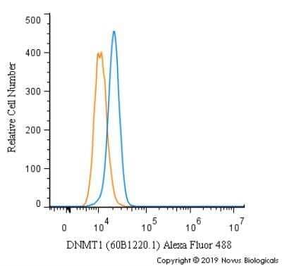 Flow Cytometry: DNMT1 Antibody (60B1220.1) - Azide and BSA Free [NBP2-80697] - An intracellular stain was performed on HeLa cells with DNMT1 [60B1220.1] Antibody NB100-56519AF488 (blue) and a matched isotype control (orange). Cells were fixed with 4% PFA and then permeabilized with 0.1% saponin. Cells were incubated in an antibody dilution of 5 ug/mL for 30 minutes at room temperature. Both antibodies were directly conjugated to Alexa Fluor 488.