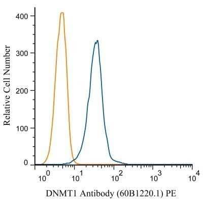 Flow Cytometry: DNMT1 Antibody (60B1220.1) - Azide and BSA Free [NBP2-80697] - Analysis of PE conjugate of NB100-56519. An intracellular stain was performed on HeLa cells with DNMT1 antibody (60B1220.1) NB100-56519PE (blue) and a matched isotype control NBP2-27287PE (orange). Cells were fixed with 4% PFA and then permeablized.