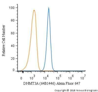 Flow Cytometry: DNMT3A Antibody (64B1446) [Alexa Fluor® 647] [NB120-13888AF647] - An intracellular stain was performed on Jurkat cells with DNMT3A (64B1446) NB120-13888AF647 (blue) and a matched isotype control (orange). Cells were fixed with 4% PFA and then permeablized with 0.1% saponin. Cells were incubated in an antibody dilution of 2.5 ug/mL for 30 minutes at room temperature. Both antibodies were conjugated to Alexa Fluor 647.