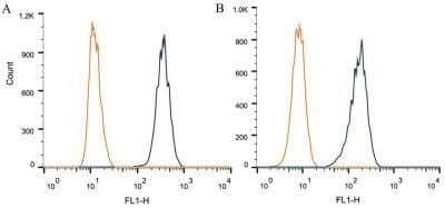 Flow Cytometry: DNMT3A Antibody (64B1446) - Azide and BSA Free [NBP2-80699] - Intracellular flow cytometric staining of 1 x 10^6 CHO (A) and HEK-293 (B) cells using Dnmt3a antibody (dark blue). Isotype control shown in orange. An antibody concentration of 1 ug/1x10^6 cells was used. Image from the standard format of this antibody.