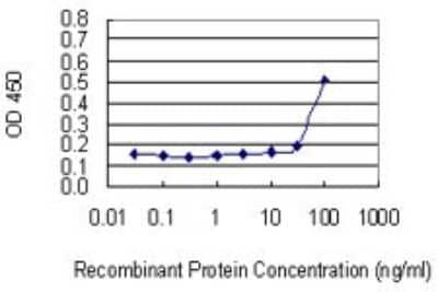 Sandwich ELISA: DP2 Antibody (2E6) [H00007029-M01] - Detection limit for recombinant GST tagged TFDP2 is 10 ng/ml as a capture antibody.