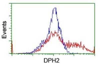 Flow Cytometry: DPH2 Antibody (OTI3A12) - Azide and BSA Free [NBP2-70587] - Analysis of HEK293T cells transfected with either overexpress plasmid(Red) or empty vector control plasmid(Blue) were immunostaining by DPH2 antibody.