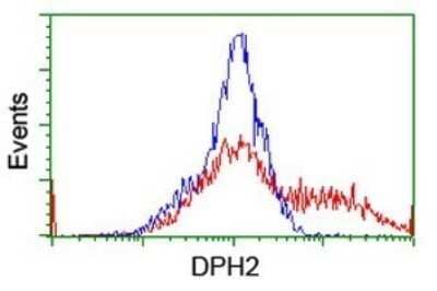 Flow Cytometry: DPH2 Antibody (OTI3A12) [NBP2-46475] - Analysis of HEK293T cells transfected with either overexpress plasmid(Red) or empty vector control plasmid(Blue) were immunostained by DPH2 antibody.