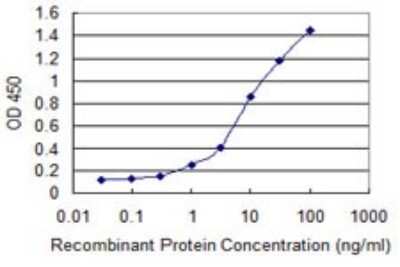 Sandwich ELISA: DPP3 Antibody (3C6) [H00010072-M07] - Detection limit for recombinant GST tagged DPP3 is 0.1 ng/ml as a capture antibody.