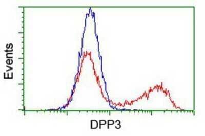 Flow Cytometry: DPP3 Antibody (OTI2D9) - Azide and BSA Free [NBP2-71541] - HEK293T cells transfected with either overexpression plasmid (Red) or empty vector control plasmid (Blue) were immunostaining by anti-DPP3 antibody, and then analyzed by flow cytometry.