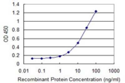 Sandwich ELISA: DPP8 Antibody (1B10) [H00054878-M01] - Detection limit for recombinant GST tagged DPP8 is 0.3 ng/ml as a capture antibody.