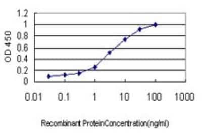 Sandwich ELISA: DPYS Antibody (3B1) [H00001807-M01] - Detection limit for recombinant GST tagged DPYS is approximately 0.1ng/ml as a capture antibody.