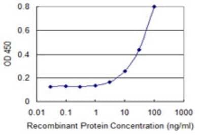Sandwich ELISA: DSN1 Antibody (2A7) [H00079980-M01] - Detection limit for recombinant GST tagged DSN1 is 1 ng/ml as a capture antibody.