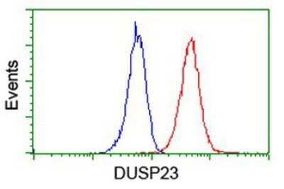 CyTOF-ready: DUSP23 Antibody (OTI3C10) - Azide and BSA Free [NBP2-71976] - Analysis of Jurkat cells, using anti-DUSP23 antibody, (Red), compared to a nonspecific negative control antibody (Blue).