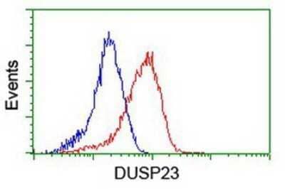 Flow Cytometry: DUSP23 Antibody (OTI3C10) - Azide and BSA Free [NBP2-71976] - Analysis of Hela cells, using anti-DUSP23 antibody, (Red), compared to a nonspecific negative control antibody (Blue).