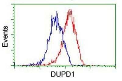 Flow Cytometry: DUSP27/DUPD1 Antibody (OTI7E4) - Azide and BSA Free [NBP2-72503] - DUSP27/DUPD1 Antibody (7E4) Analysis of Hela cells, using anti-DUSP27 antibody, (Red), compared to a nonspecific negative control antibody (Blue).