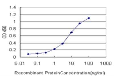 ELISA: DUSP5 Antibody (4C8) [H00001847-M03] - Detection limit for recombinant GST tagged DUSP5 is approximately 0.3ng/ml as a capture antibody.