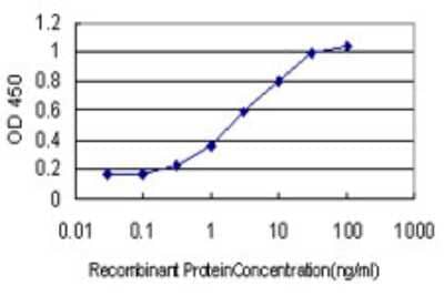 Sandwich ELISA: DYDC1 Antibody (1B11) [H00143241-M01] - Detection limit for recombinant GST tagged DYDC1 is approximately 0.1ng/ml as a capture antibody.