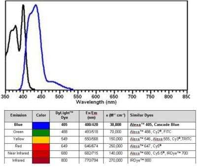 ELISA: DYKDDDDK Epitope Tag Antibody (29E4.G7) [DyLight 405] [NBP1-97399] - Detection of FLAG conjugated proteins using DYKDDDDK Epitope Tag Antibody (29E4.G7) [DyLight 405] [NBP1-97399].