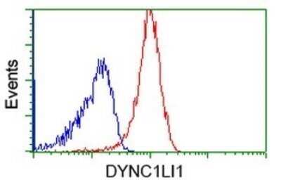 CyTOF-ready: DYNC1LI1 Antibody (OTI2E8) - Azide and BSA Free [NBP2-71904] - Analysis of Jurkat cells, using DYNC1LI1 antibody (Red), compared to a nonspecific negative control antibody (Blue).