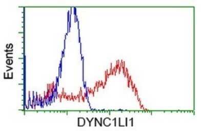 Flow Cytometry: DYNC1LI1 Antibody (OTI2E8) - Azide and BSA Free [NBP2-71904] - Analysis of HEK293T cells transfected with either overexpress plasmid(Red) or empty vector control plasmid(Blue) were immunostaining by DYNC1LI1 antibody.