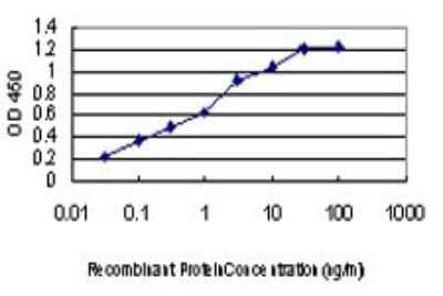 Sandwich ELISA: DYRK2 Antibody (3G5) [H00008445-M01] - Detection limit for recombinant GST tagged DYRK2 is approximately 0.03ng/ml as a capture antibody.