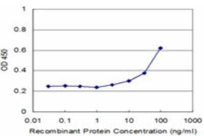 ELISA: DYRK4 Antibody (3B9) [H00008798-M04] - Detection limit for recombinant GST tagged DYRK4 is approximately 3ng/ml as a capture antibody.