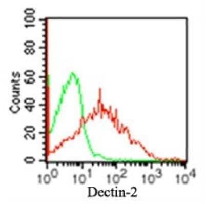 Flow Cytometry: Dectin-2/CLEC6A Antibody (3D1) - Azide Free [NBP2-36486] - Surface staining of Dectin-2 on 5x10^5 human PBMCs using 0.5 ug of Dectin-2 antibody (red) and 0.5 ug of isotype control antibody (green). Image from the standard format of this antibody.