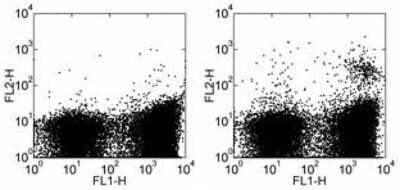 Flow Cytometry: Dendritic Cell Marker Antibody (33D1) [NBP1-43284] - Analysis using the PE conjugate of NBP1-43284. Staining of BALB/c splenocytes with Anti-Mouse MHC Class II (I-A/I-E) FITC and 0.125 ug of Rat IgG2b kappa Isotype Control PE (left) or 0.125 ug of Anti-Mouse Dendritic Cell Marker (33D1) PE (right).