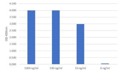 Sandwich ELISA: Dengue Virus 2 NS1 Antibody (LH5.H7.B12.D7) [NBP3-14842] - Assay using Mouse Anti-Dengue Virus Pan-Serotype NS1 antibody as a capture antibody for DENV2 NS1 and biotin-labelled Dengue Virus 2 NS1 antibody as the detection antibody.