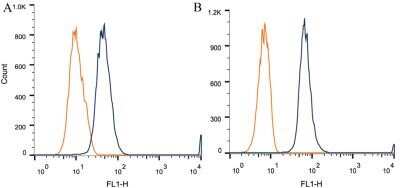 Flow Cytometry: Desmoglein-3 Antibody (5G11) - Azide and BSA Free [NBP2-80694] - Intracellular flow cytometric staining of 1 x 10^6 CHO (A) and HEK-293 (B) cells using Desmoglein-3 antibody (dark blue). Isotype control shown in orange. An antibody concentration of 1 ug/1x10^6 cells was used. Image from the standard format of this antibody.