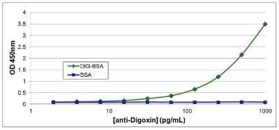 ELISA: Digoxin Antibody (25P1C9) [NBP1-78617] - InDirect ELISA analysis of Digoxin was performed by preparing a 10ug/mL solution of BSA or Digoxin-labeled BSA in 0.2M Carbonate-Bicarbonate, pH 9.4. 100uL of each solution was added to separate wells of a clear 96-well plate, and incubated overnight at 4C. Each well was blocked with SuperBlock in PBS. The plate was then washed with PBST and incubated with 100uL per well of Digoxin monoclonal antibody in triplicate at -1000 - 2pg/mL for 1 hour at room temperature. The plate was washed with PBST and incubated with 100ul per well of goat anti-mouse IgG-HRP secondary antibody in all test wells at 1:25,000 for 30 minutes at room temperature. Detection was performed using 1-Step TMB Ultra substrate for 15 minutes at room temperature. The plate was then stopped with 0.2M sulfuric acid. Absorbances were read on a spectrophotometer at 450-550nm.