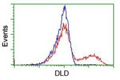 Flow Cytometry: Dihydrolipoamide Dehydrogenase/DLD Antibody (OTI6D5) - Azide and BSA Free [NBP2-70574] - HEK293T cells transfected with either overexpression plasmid (Red) or empty vector control plasmid (Blue) were immunostaining by anti-Lipoamide Dehydrogenase antibody, and then analyzed by flow cytometry.